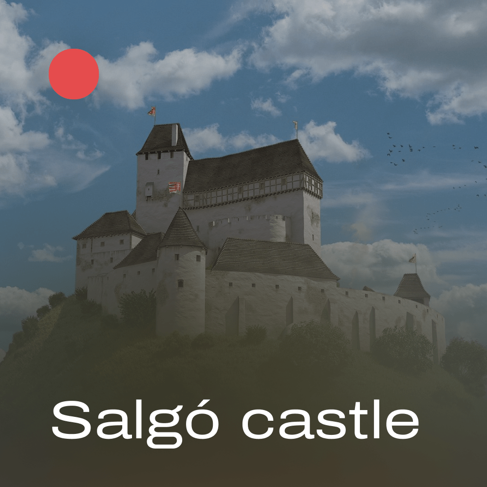 Salgó castle