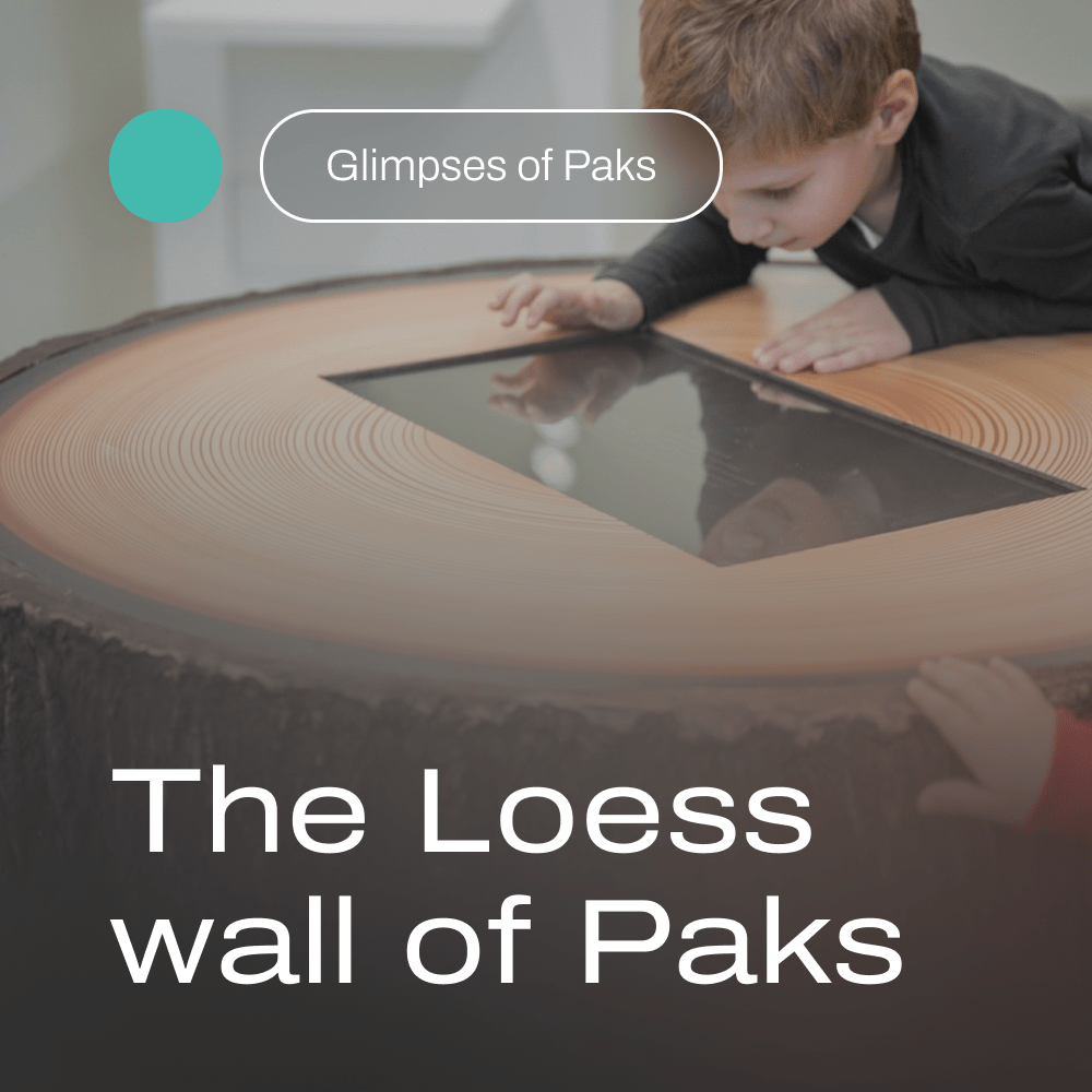 Glimpses of Paks – The Loess wall of Paks