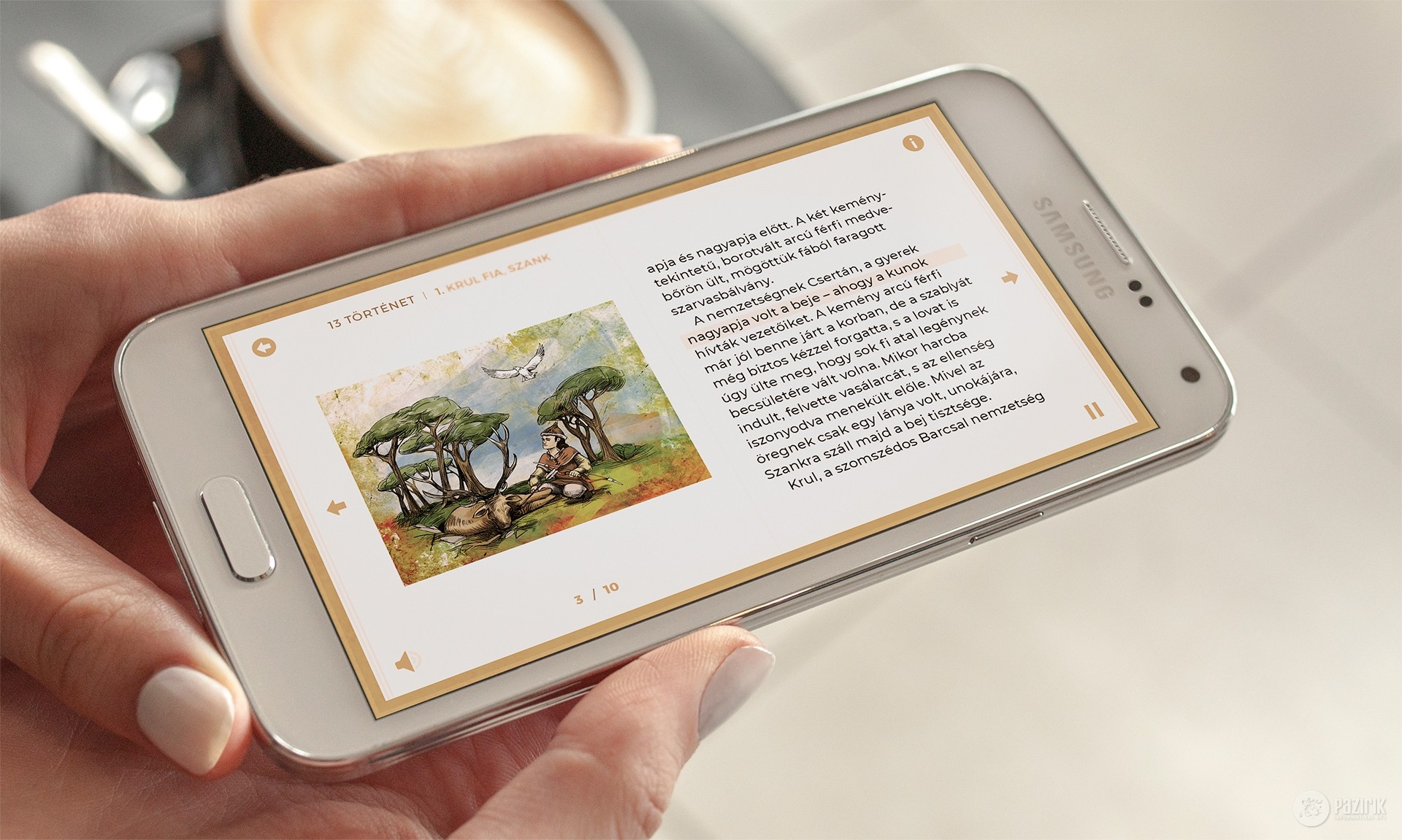 The Cuman stories Storybook application - Software