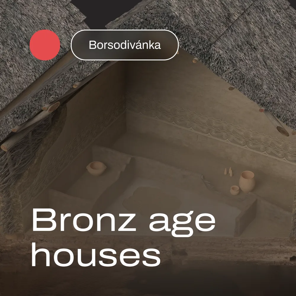 Bronze age houses